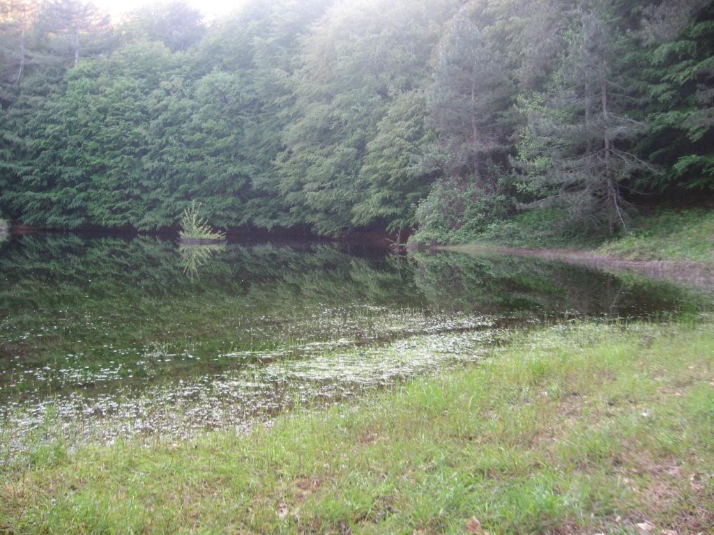 Laghi.........della CALABRIA